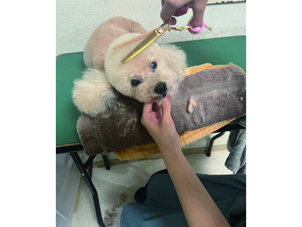 ƐkɗĂꂽy`肳`